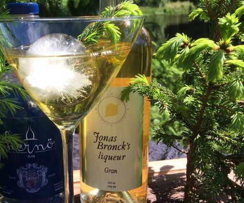 Martini glas och 2 flaskor i skogen